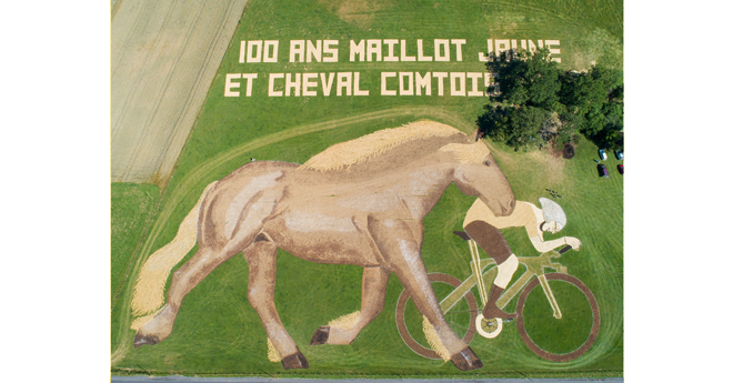 La fresque du Cheval Comtois remporte le Prix Poulidor !