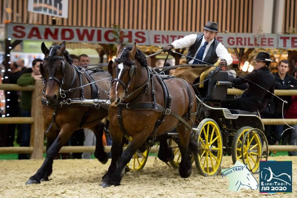 Trophée national d’utilité Inter-Race : une médaille d'argent pour les Comtois