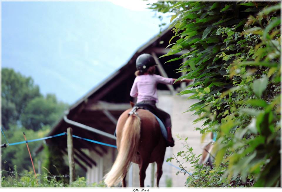 L'aide aux centres équestres est ouverte: 120 euros par cheval