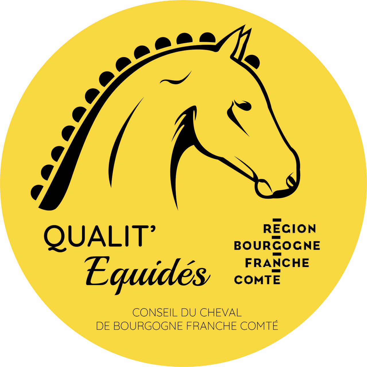 Le Label Qualit'Equidé, décliné en Bourgogne Franche-Comté dès 2023