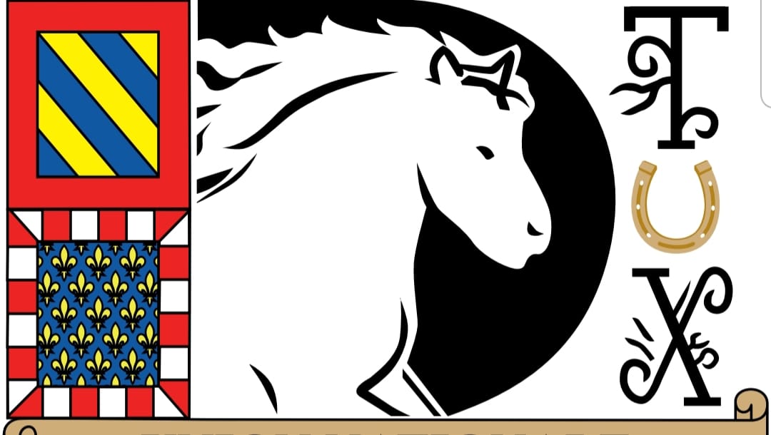 La National Auxois a rassemblé les férus de la race à Semur en Auxois