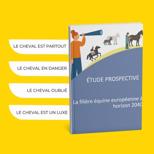 Etude Ifce : La filière équine à horizon 2040