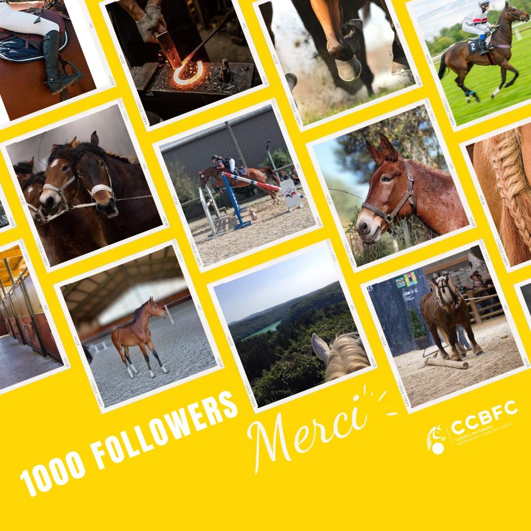 Notre page Facebook passe le cap des 1000 followers
