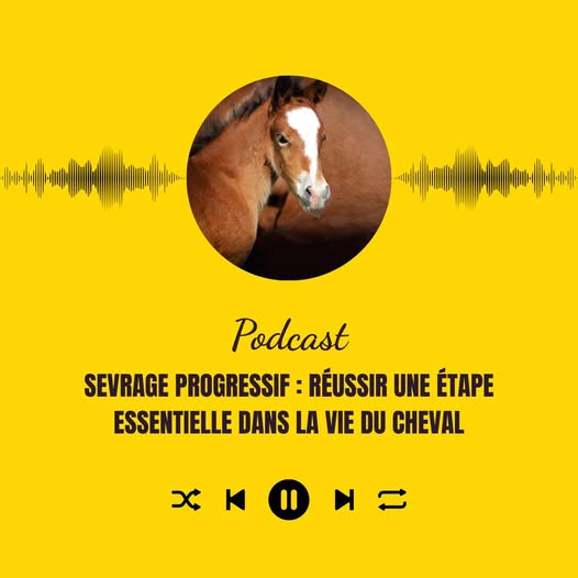 C'est de saison ! Le sevrage progressif
