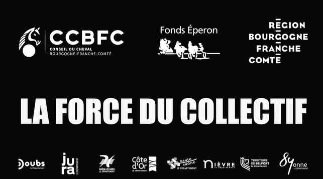 Le tourisme équestre en Bourgogne Franche-Comté