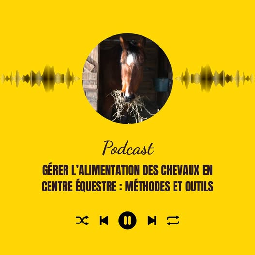 Alim'equestre : gérer l'alimentation des chevaux en centre équestre