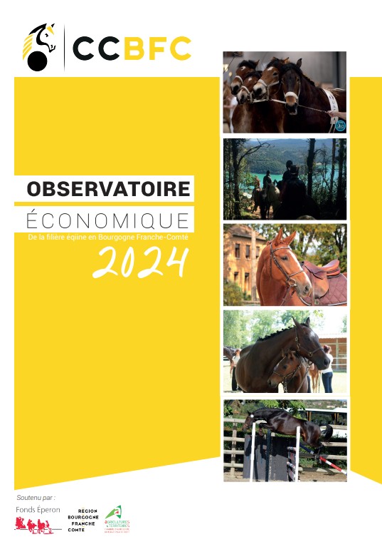 Notre Observatoire Economique Régional annuel est paru