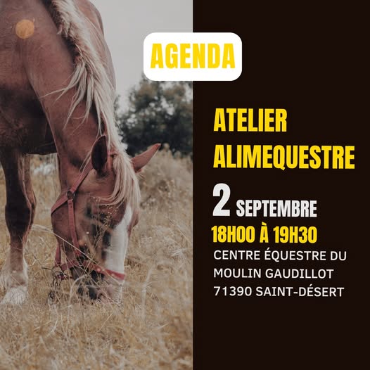Ateliers Alim'Equestre : organisés gratuitement en Saône et Loire
