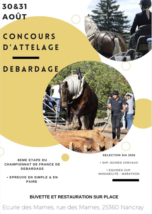 8eme étape des championnats de France de débardage