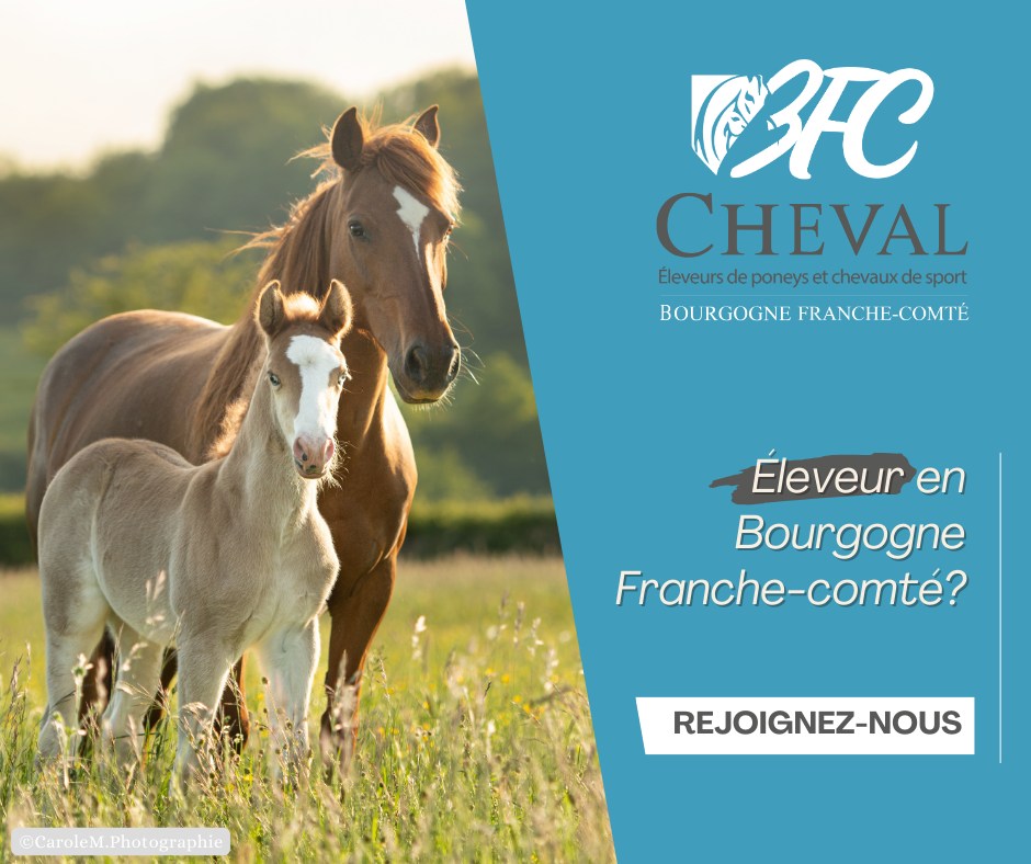 Eleveurs de Poneys et Chevaux de Sport de Bourgogne Franche-Comté