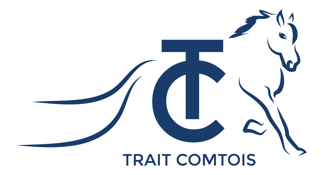 Mise à l'honneur de notre race Comtoise au CHIO Aachen