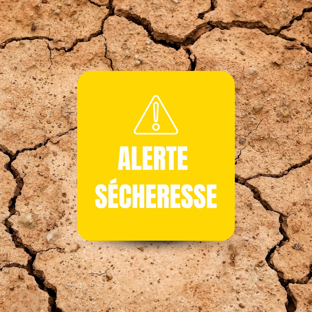 Sécheresse : suivez les actualités et mesures en vigueur