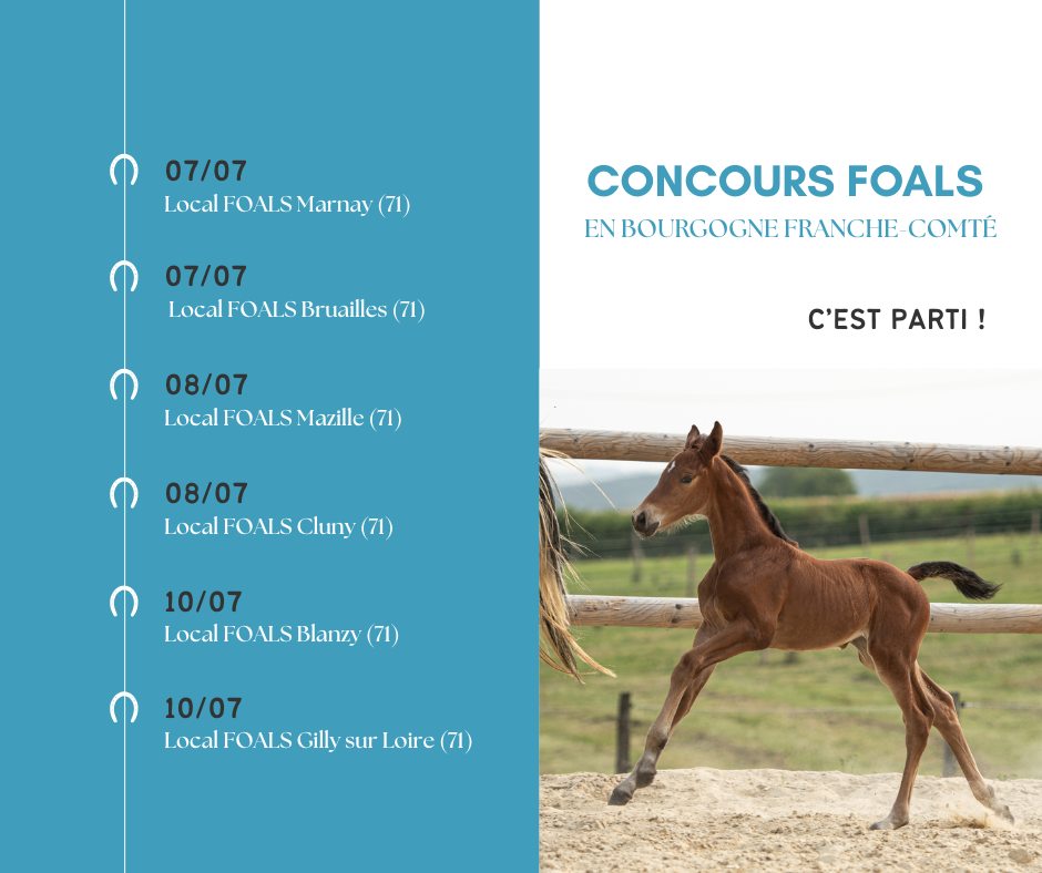 Concours foals en région