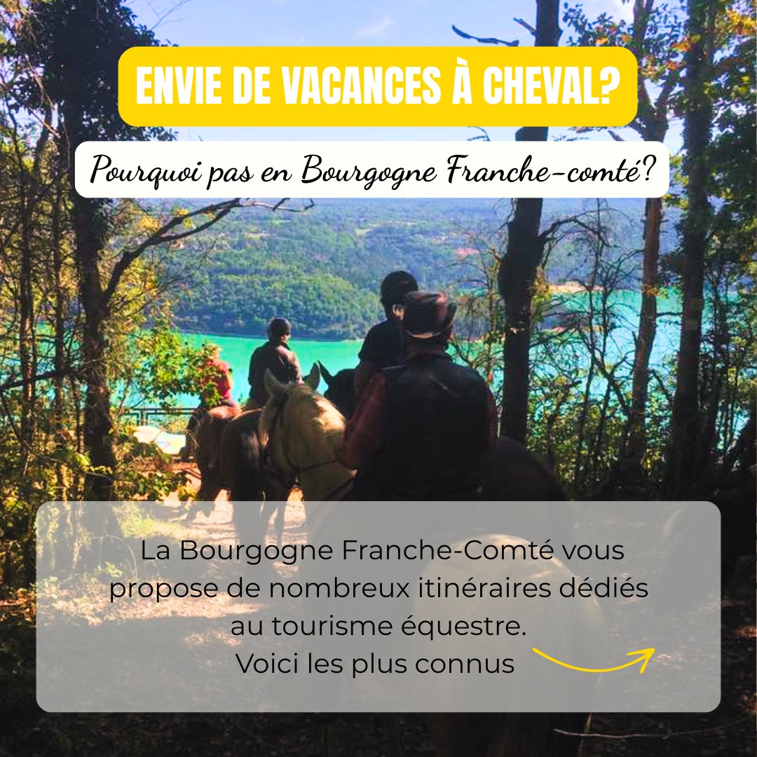Cet été : envie de vacances à cheval ?