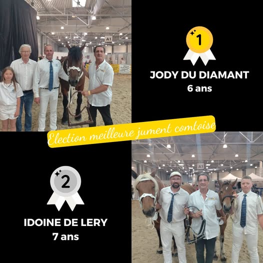Les plus belles juments Comtoise