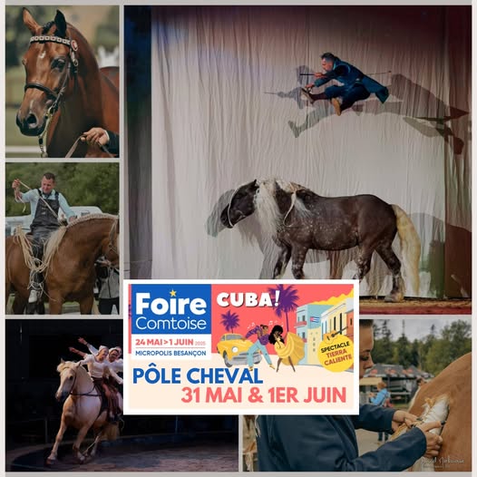 retrouvez nous dès demain à la Foire Comtoise de Besançon