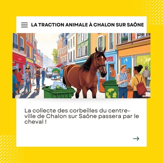 La ville de Chalon sur Saône opte pour la traction hippomobile
