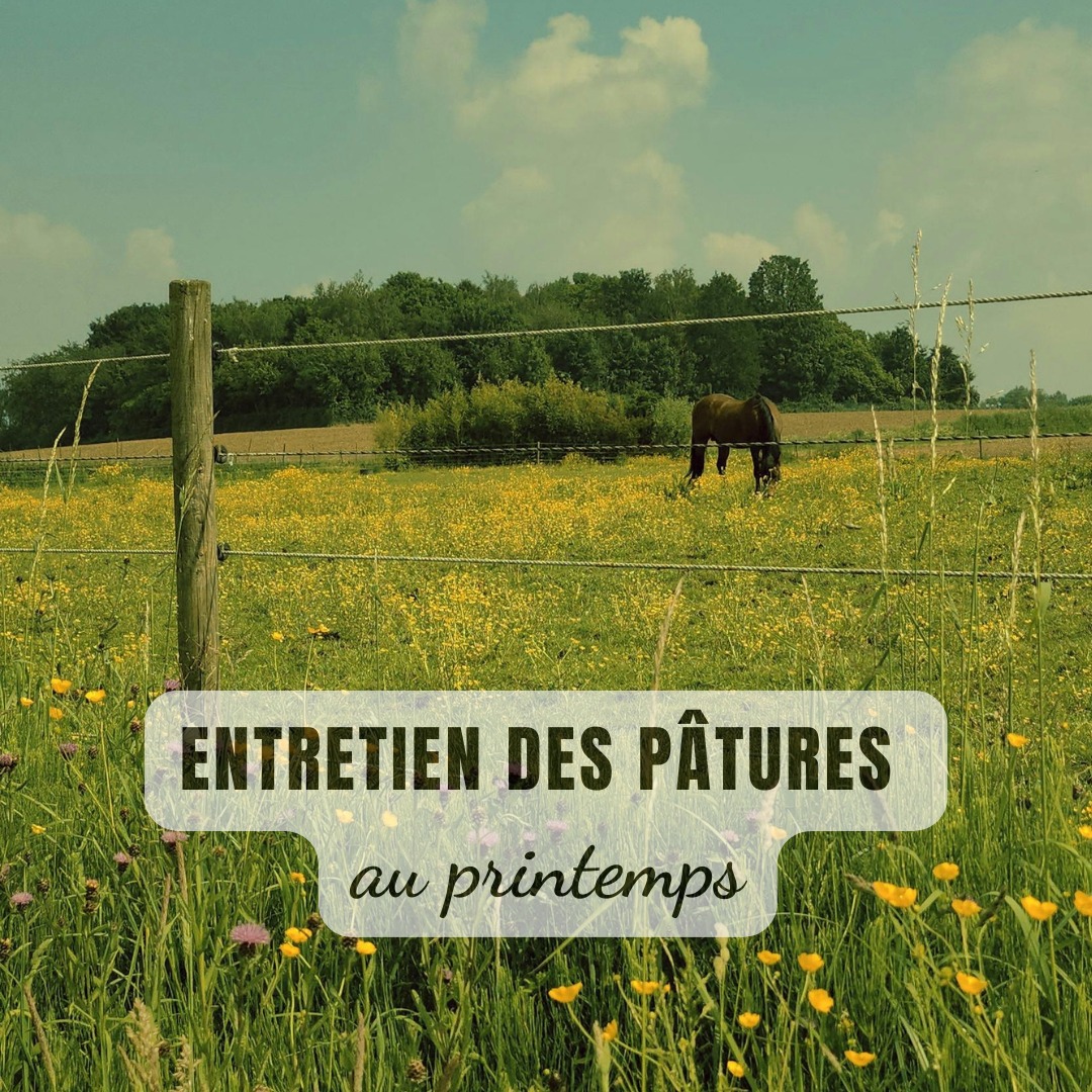 C'est de saison ! Entretien des prairies au printemps