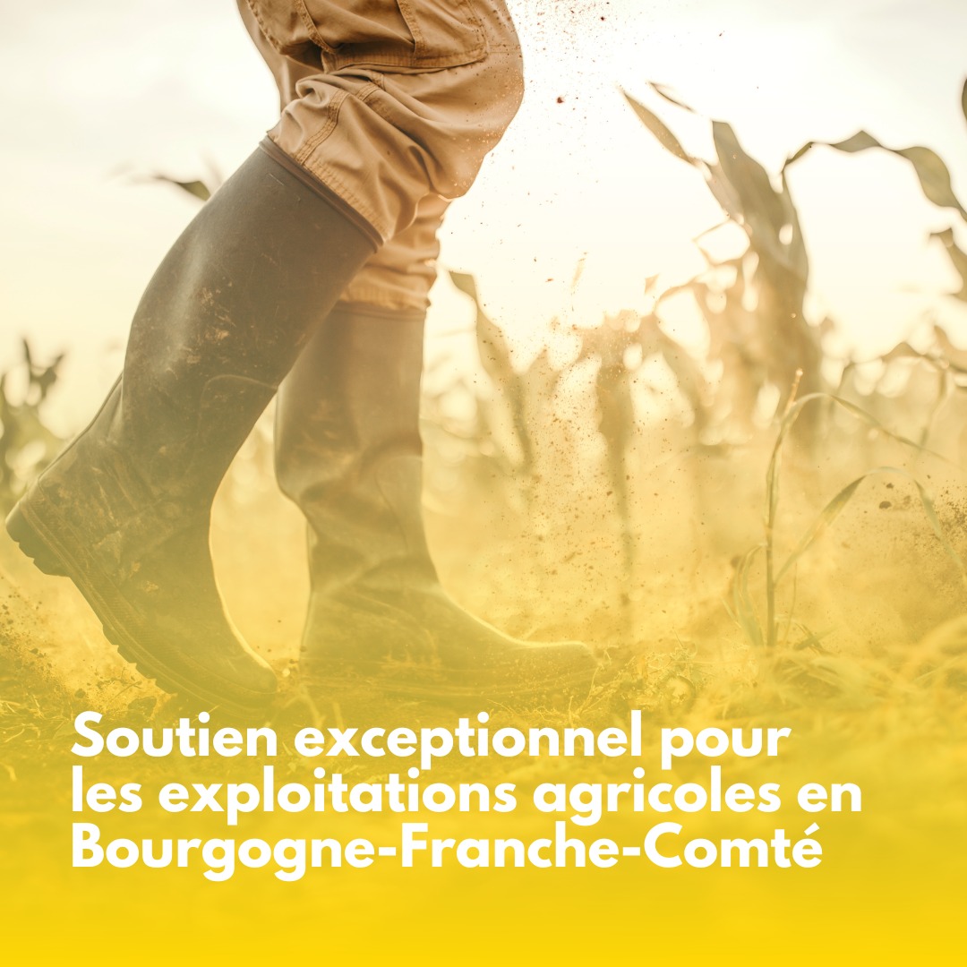 Aide régionale pour les exploitations victimes de catastrophes naturelles