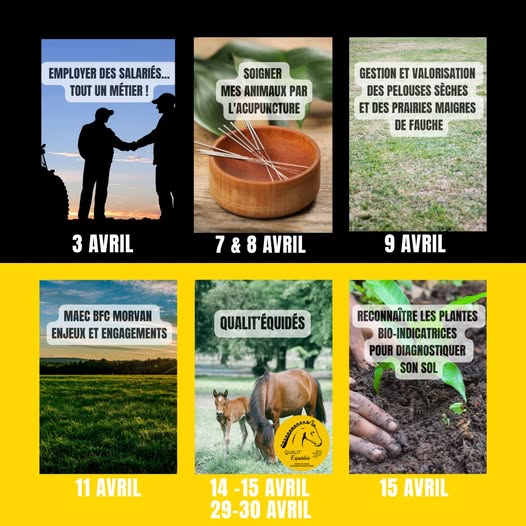 Les formations d'avril en région