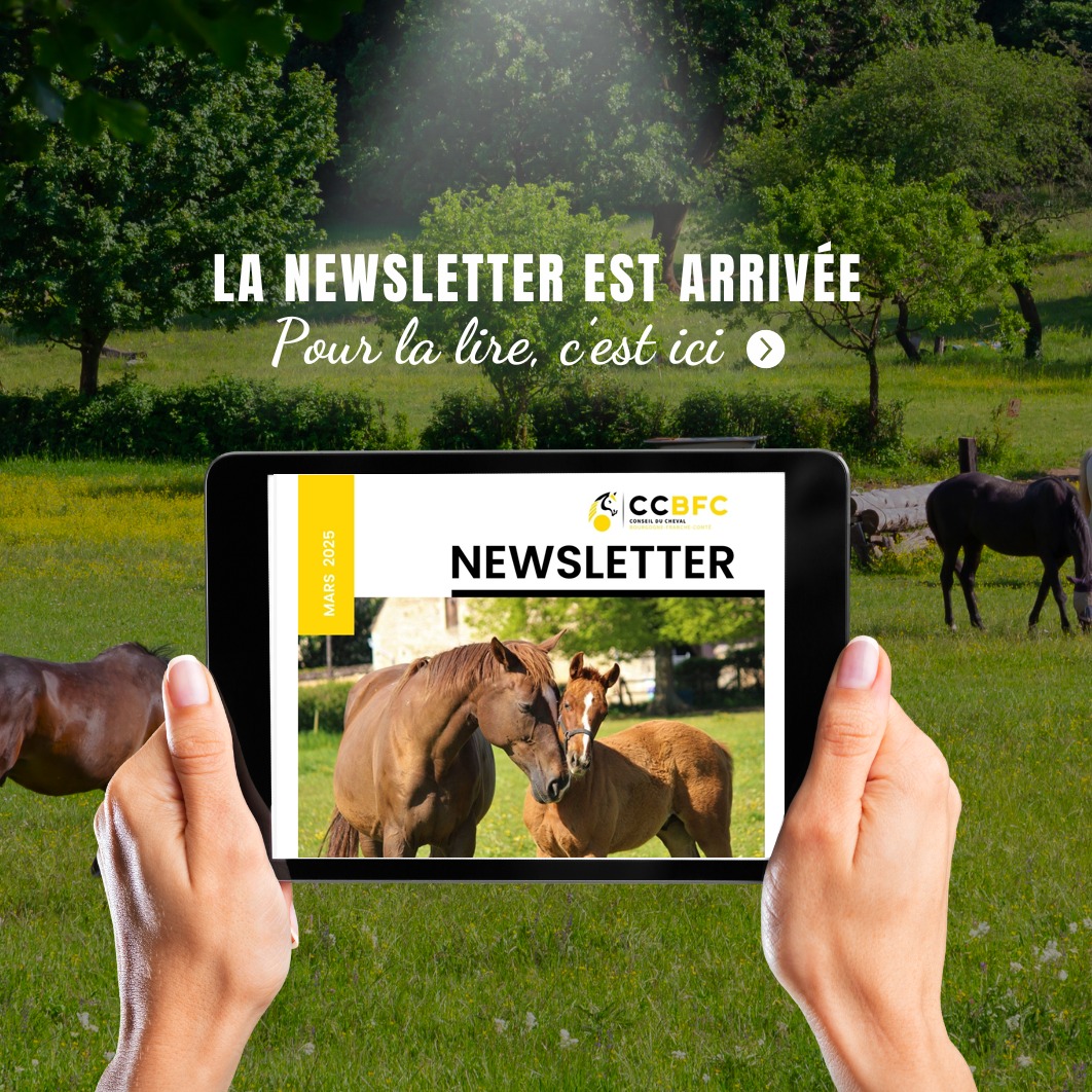 Notre newsletter de mars est sortie !