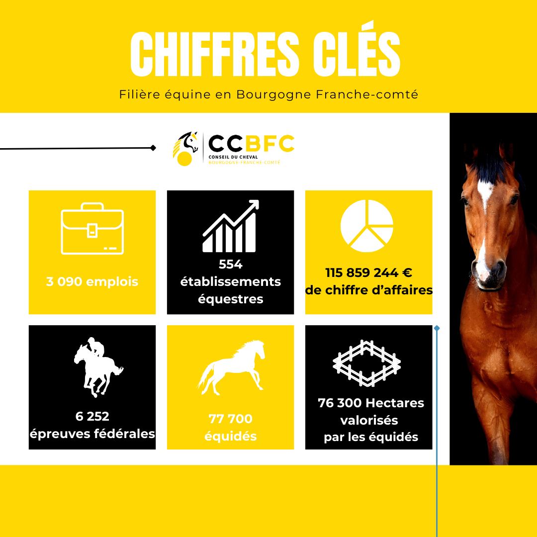 chiffres clefs : les premières tendances 2024 pour la fiilière