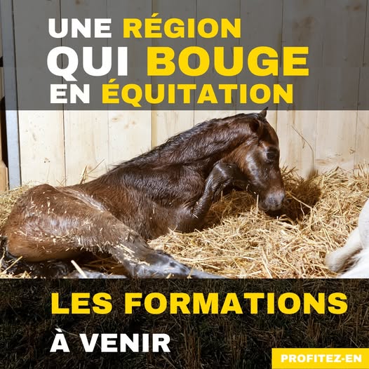 Formations : retrouvez les calendriers pour l'hiver