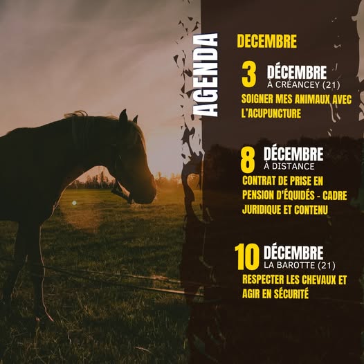 Formations : notre site internet a été mis à jour