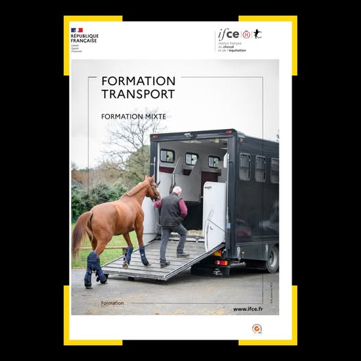 Formation : Transport