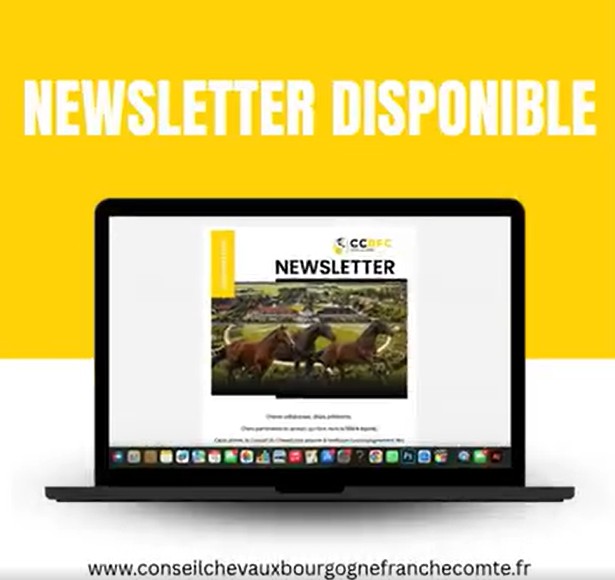 Notre newsletter de Décembre est disponible !