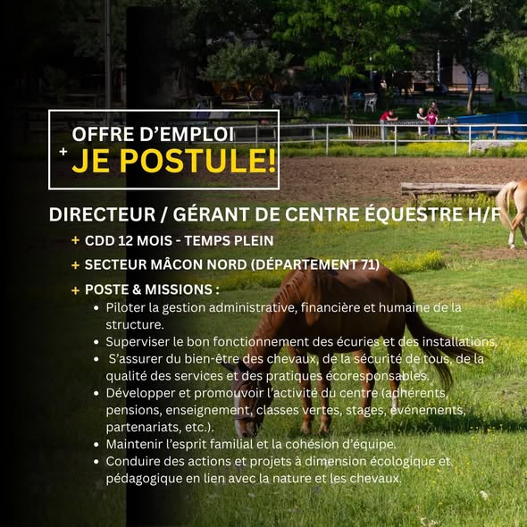 OFFRES D'EMPLOIS : les dernières offres en région