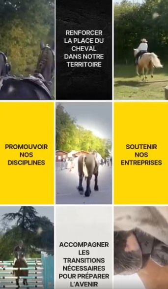 Le Conseil du Cheval vous adresse ses voeux pour 2026