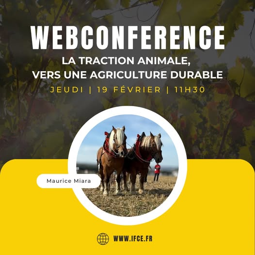Webconférence : La traction animale, vers une agriculture durable