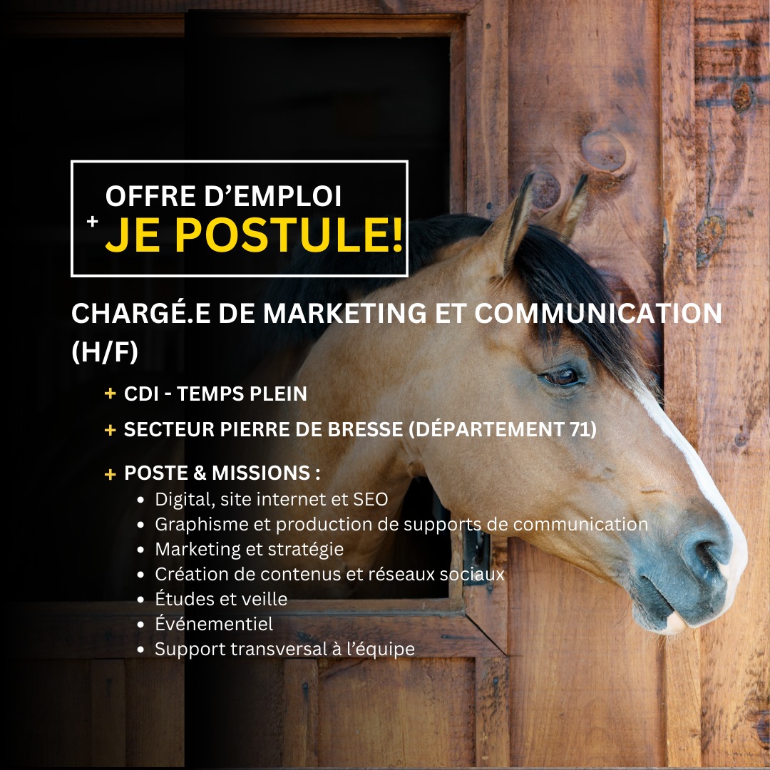 OFFRES D'EMPLOIS : les dernières offres en région