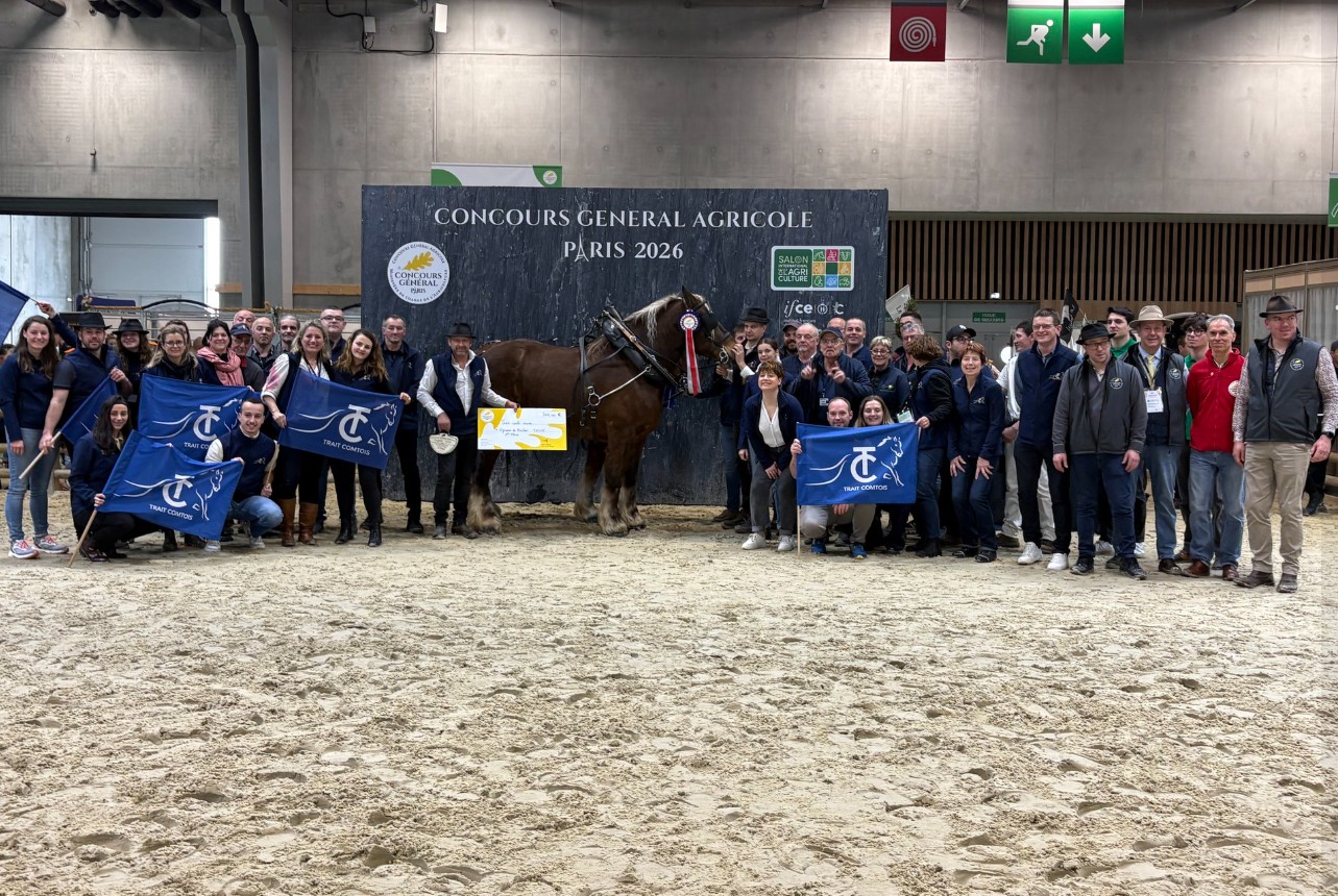 Les Comtois en Or dans le Trophée en Paire