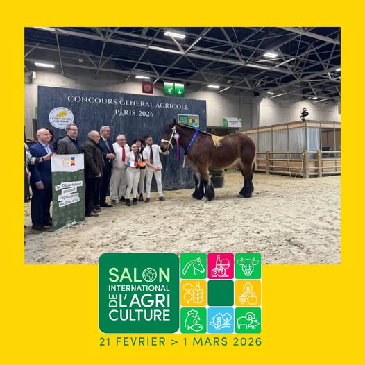 SIA 2026 : suivez les épreuves en direct