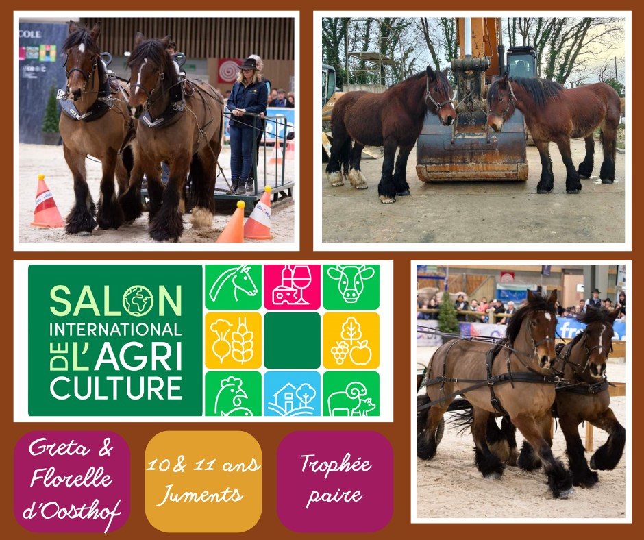 Une belle performance pour l'equipe Auxois au CGA