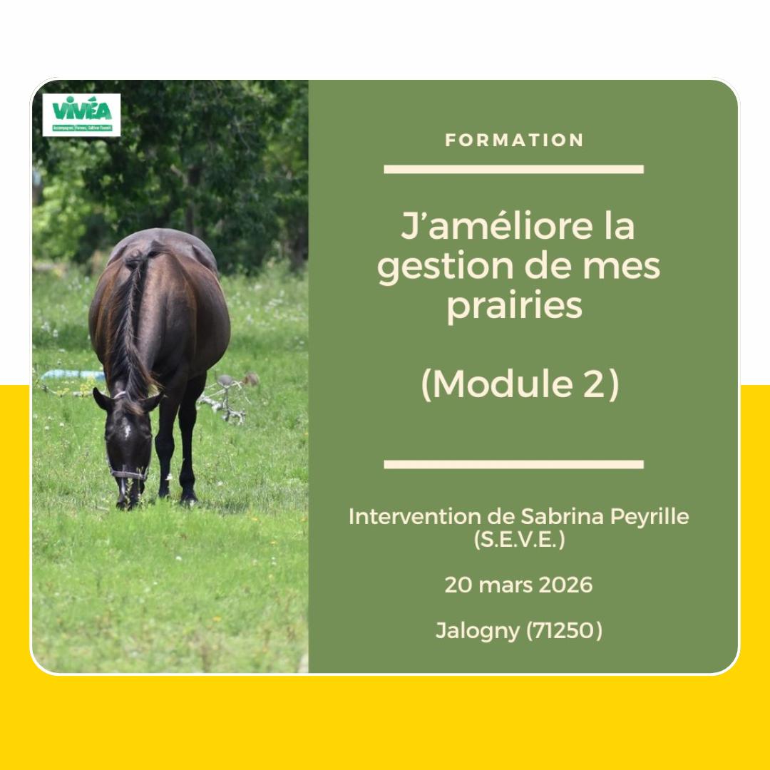 Formations :  Alimentation et pâturage des équidés