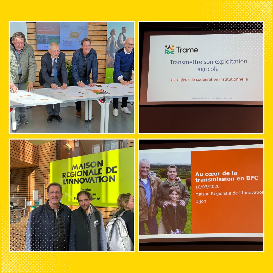 La filière équine, au coeur de la transmission en Bourgogne Franche-Comté