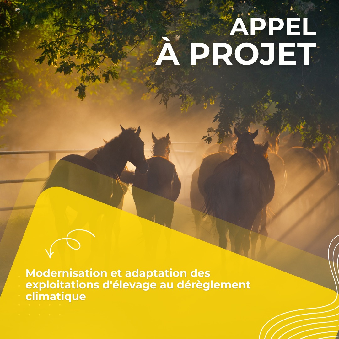 Modernisation et adaptation des exploitations d'élevage au dérèglement climatique : c'est ouvert !