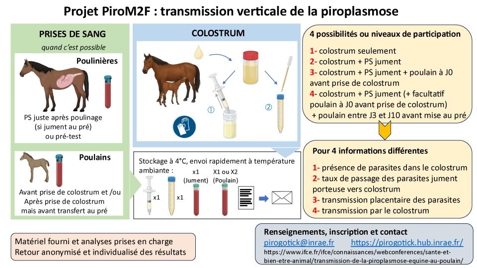 Projet PiroM2F : APPEL À COLLECTE