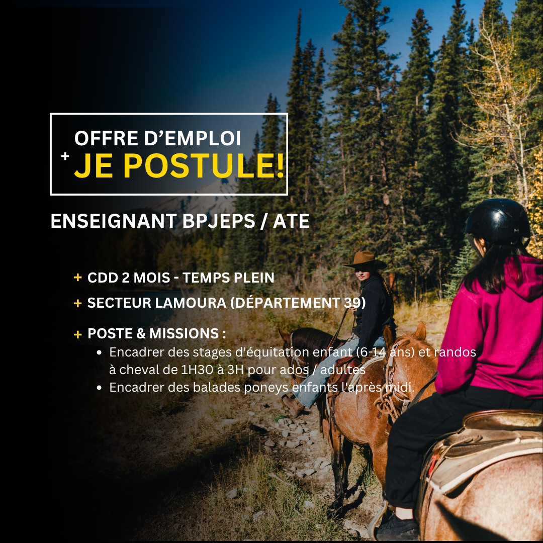 [offres d'emploi] les dernières offres parues en région