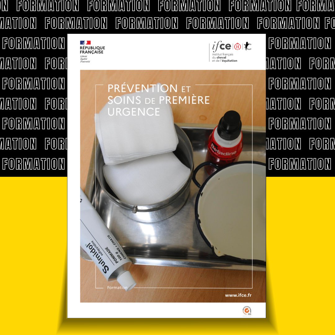[Formation] Prévention et soins de première urgence REPORTEE