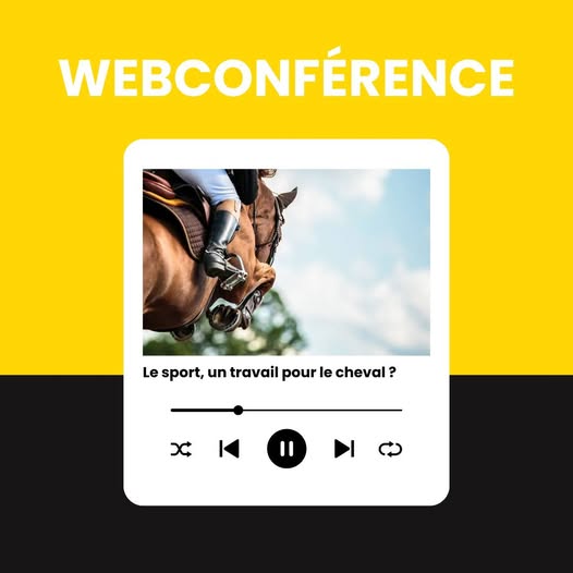 Webconférence : Le sport, un travail pour le cheval ?