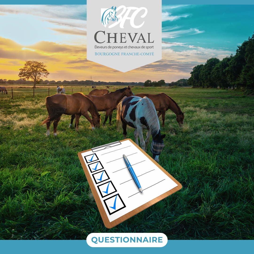 Recueil de vos besoins en formations