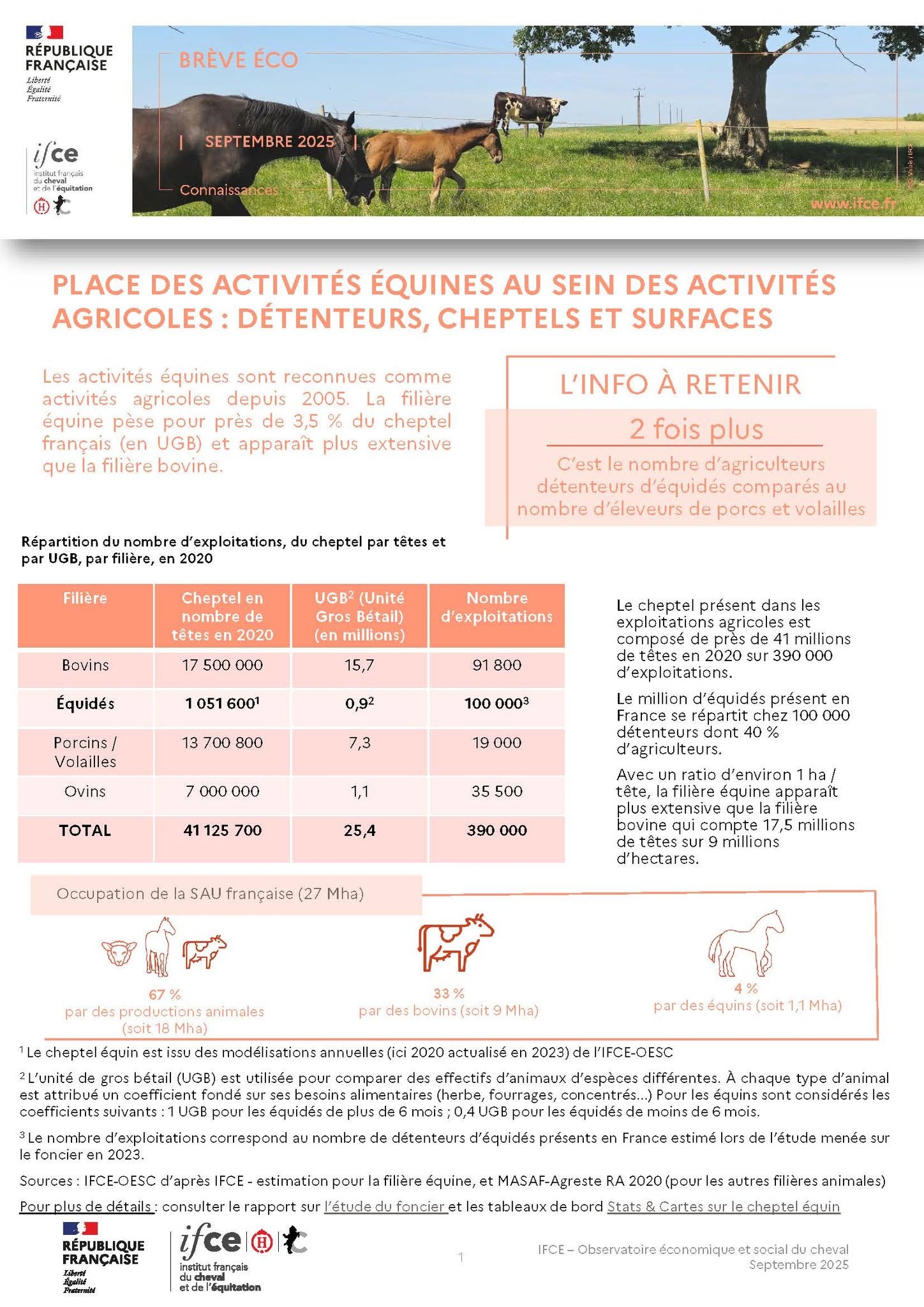 Les activités équines dans l’agriculture : répartition des détenteurs, des effectifs et des surfaces agricoles