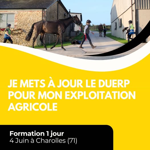FORMATION : Je mets à jour le DUERP pour mon exploitation agricole (71)