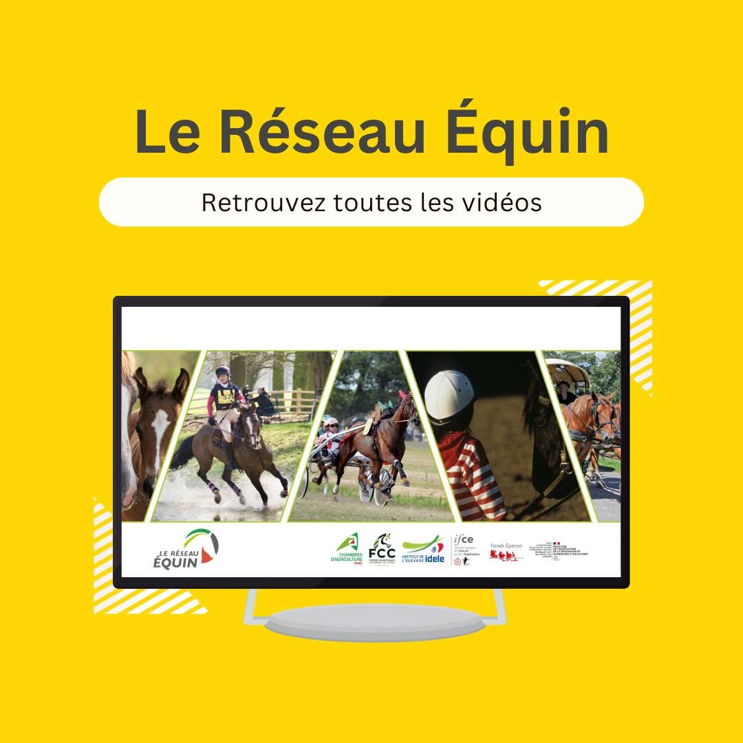 Zoom sur : Le Réseau Équin