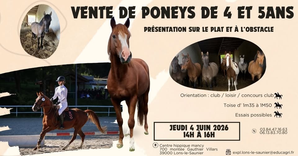 Vente de Poneys de 4 & 5 ans (39)