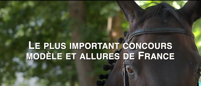 SAVE THE DATE 48h de l'AQPS & de l'obstacle